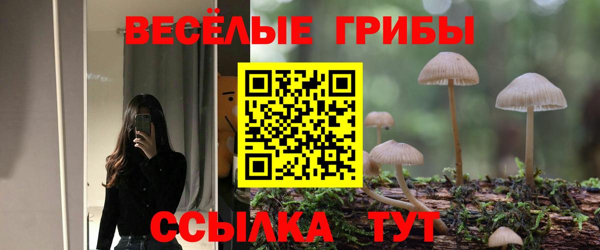 Псилоцибиновые грибы Magic Shrooms Ачинск